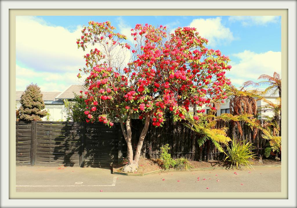 Victoria Lodge Rotorua Zewnętrze zdjęcie